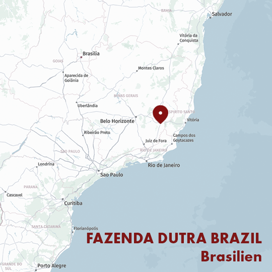 Bio Espresso - Soares