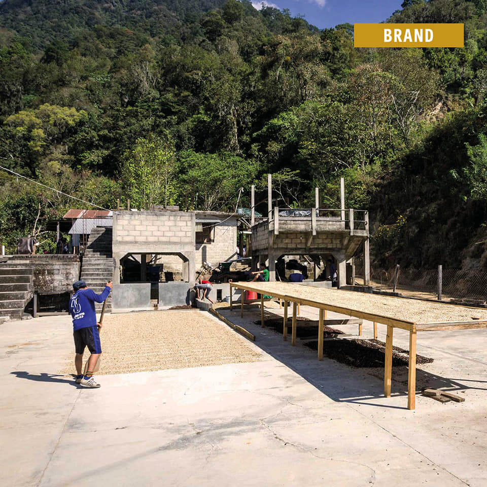 Bio Filterkaffee - El Flamingo Decaf