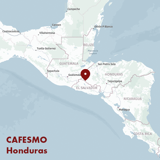 Map highlighting the location of CAFESMO in Honduras, Central America.