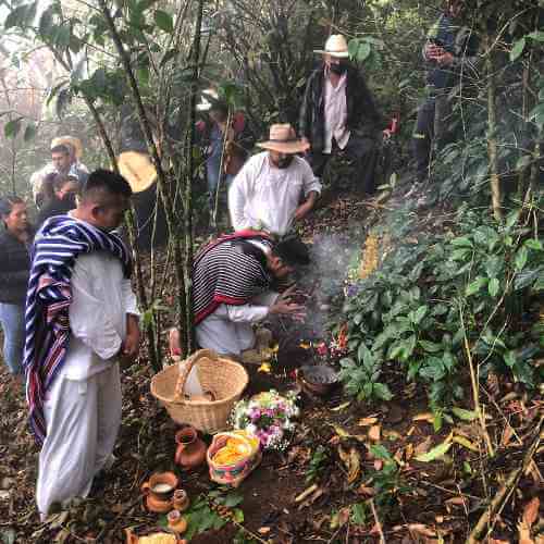 Espresso - Curandera