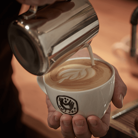 Latte Art-Seminar Einsteiger
