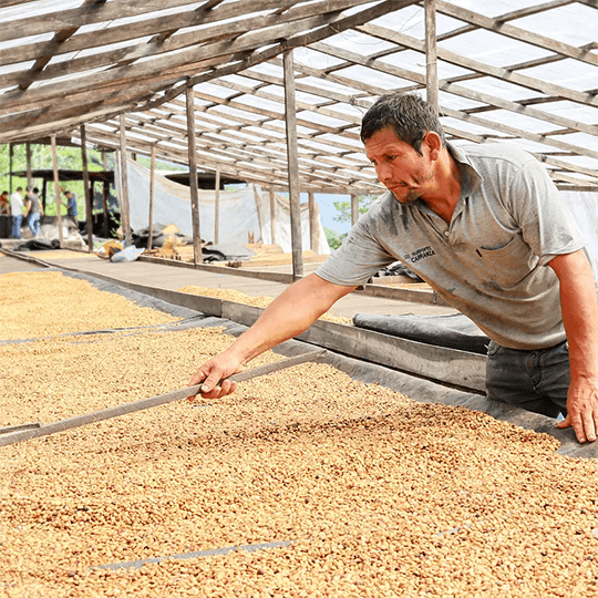 Bio Filterkaffee - Tunki