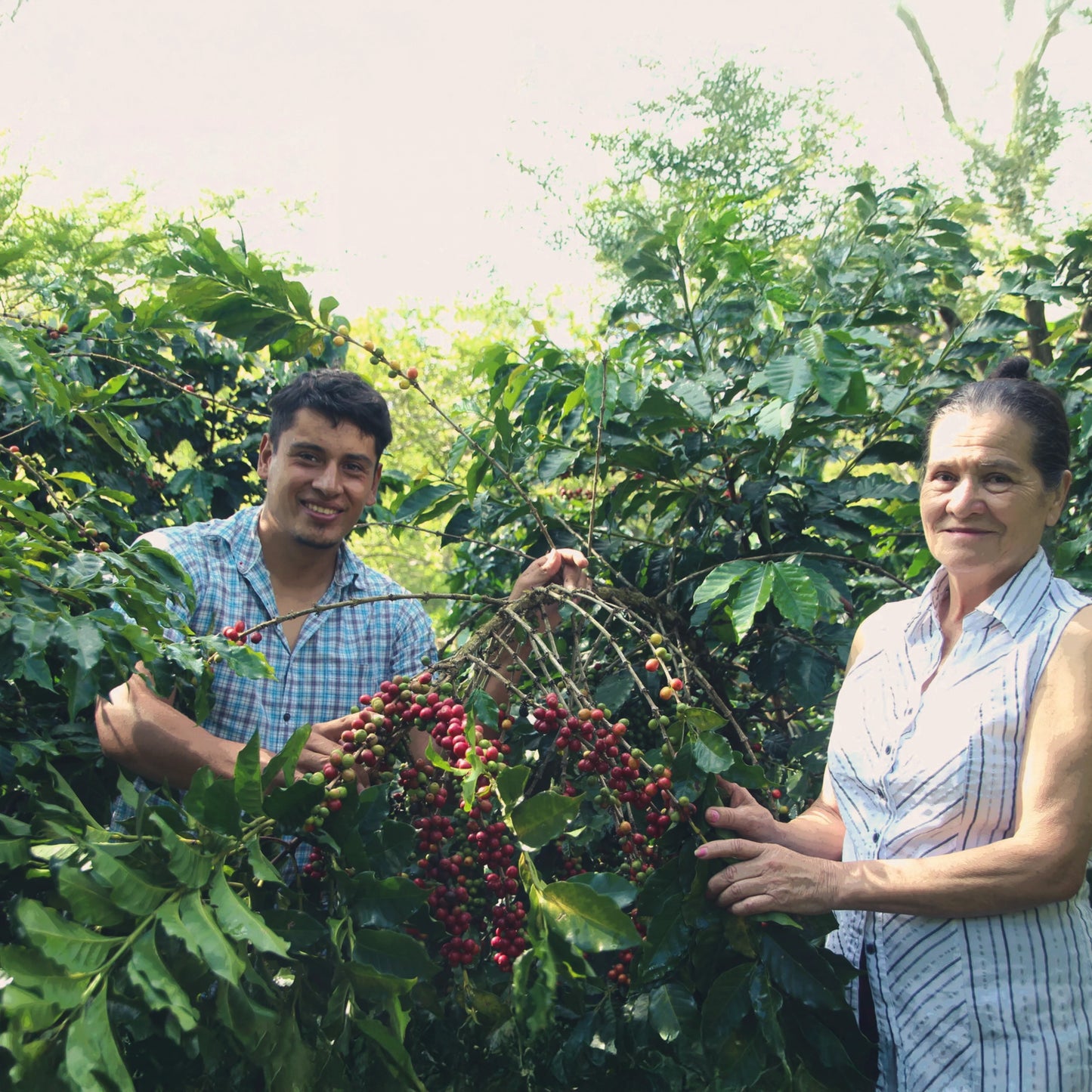 Bio Espresso  - Jaime Urías - Limited Edition