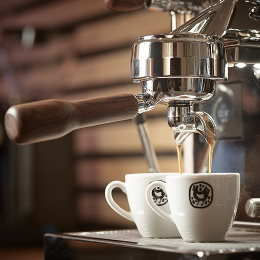 Barista-Workshop Professional