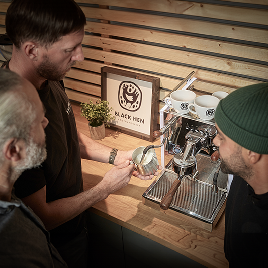 Home-Baristaseminar Einsteiger