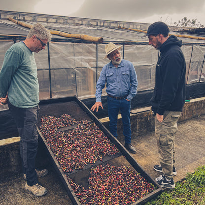 Bio Filterkaffee  - Don Rosalío - Limited Edition