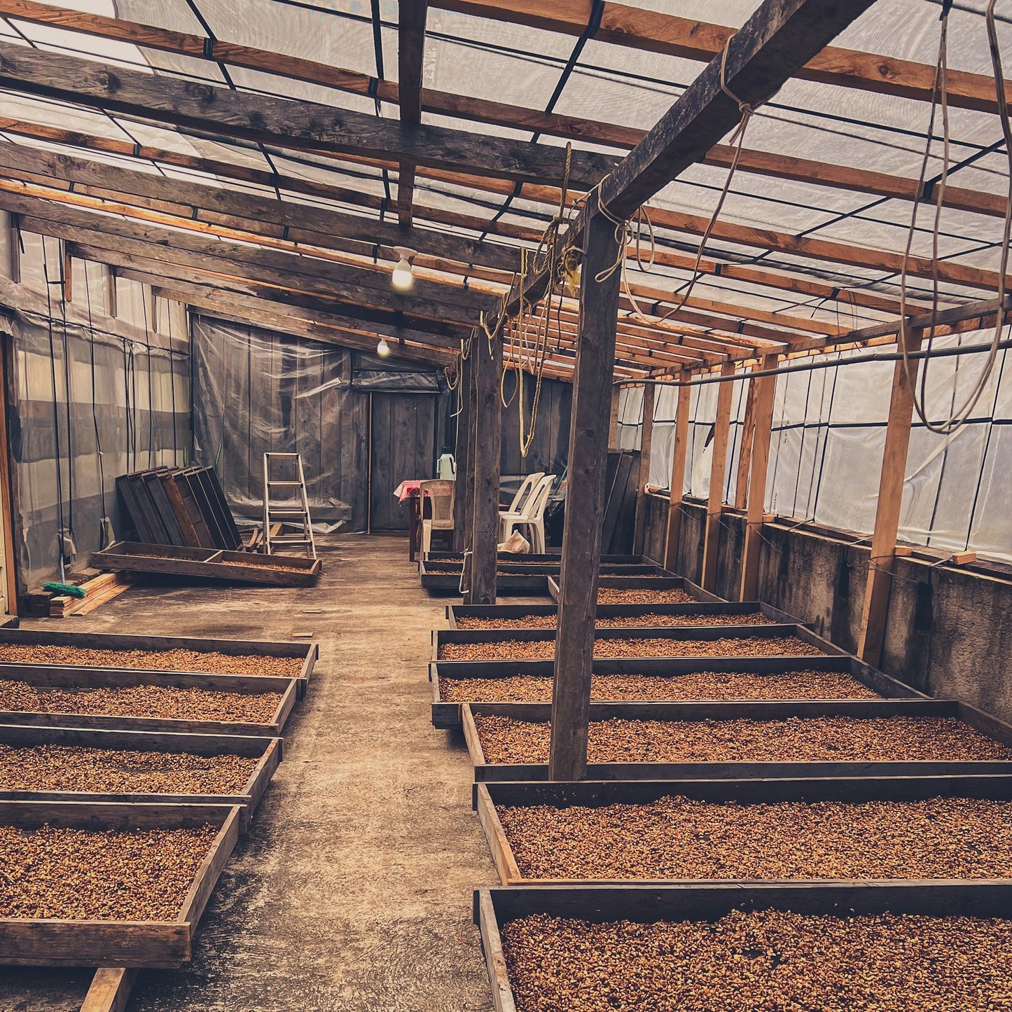 Bio Filterkaffee  - Don Rosalío - Limited Edition