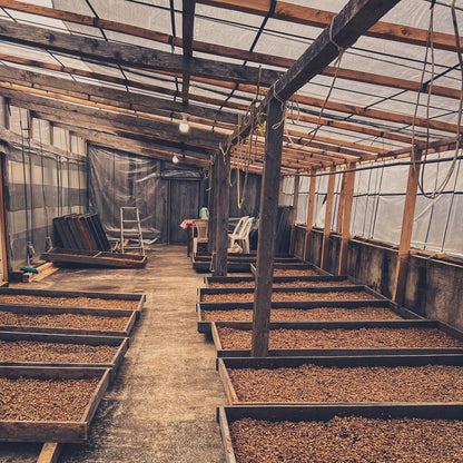 Bio Filterkaffee  - Don Rosalío - Limited Edition